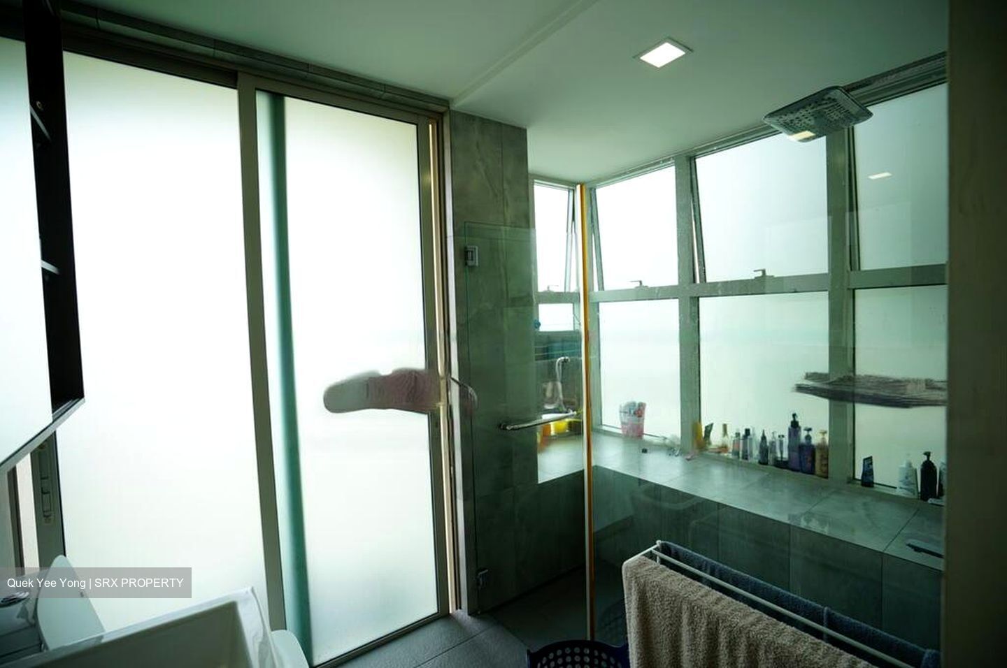 Parc Mondrian (D13), Apartment #480813541